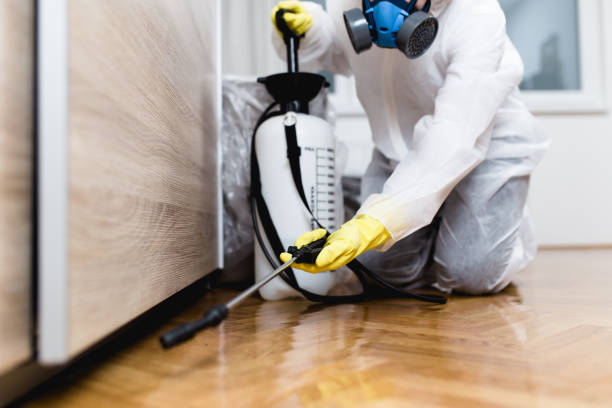 Best Termite Control Services  in Edgewater, MD