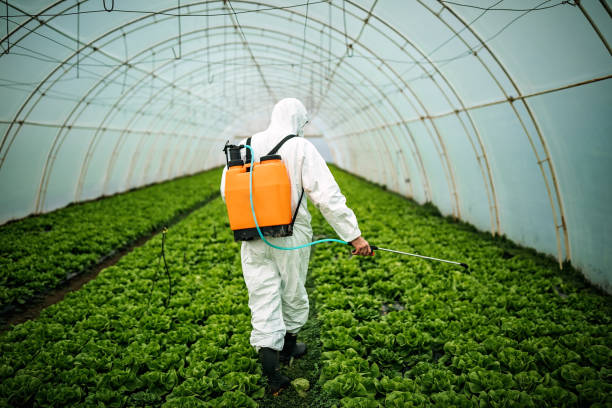 Pest Control for Restaurants in Edgewater, MD